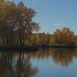 Meet your Posher, Tami